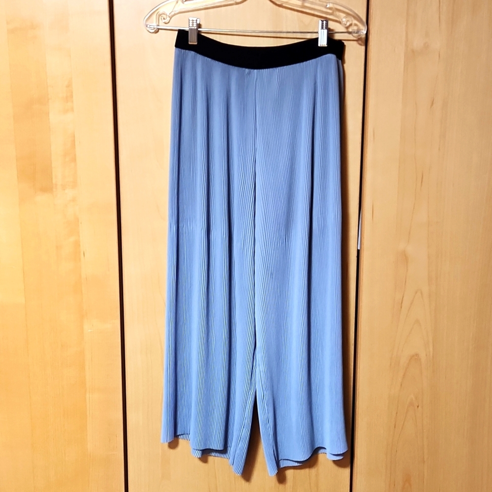 Zara wide leg baby blue pleated Pants